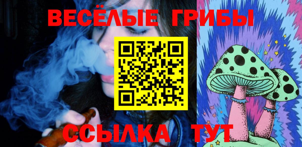 Псилоцибиновые грибы Psilocybe  Вход с VPN  Псилоцибиновые грибы MAGIC MUSHROOMS  Рыбинск 