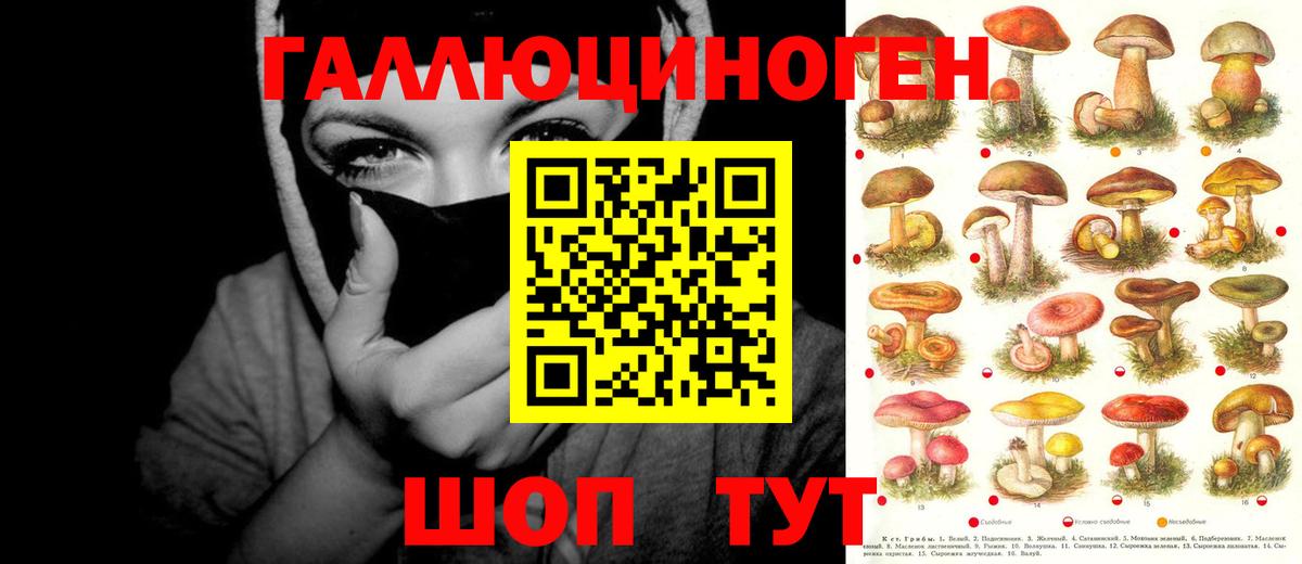 Псилоцибиновые грибы Cubensis Рыбинск